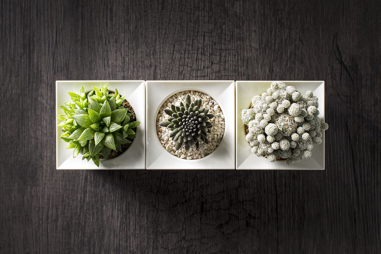 LeGrow gallery image