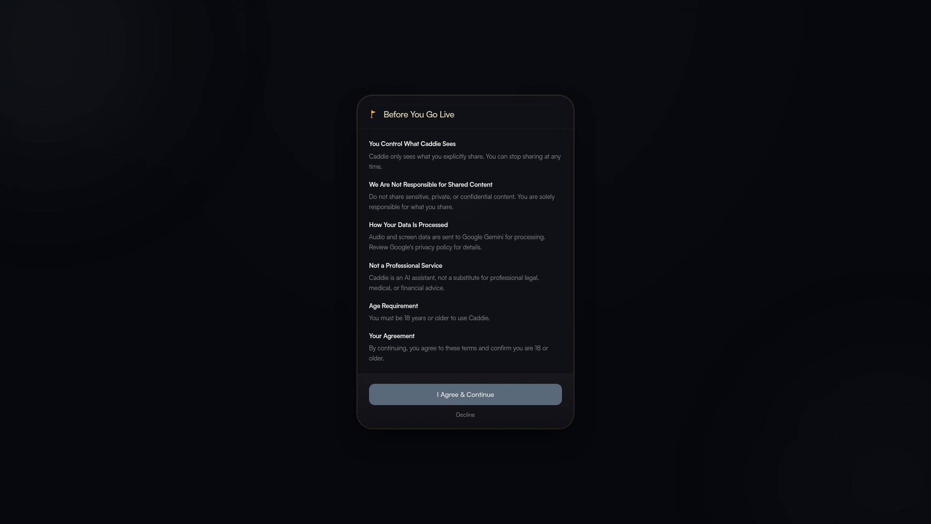 Caddie — AI Live Screen Co-Pilot gallery image