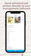 Findpet gallery image