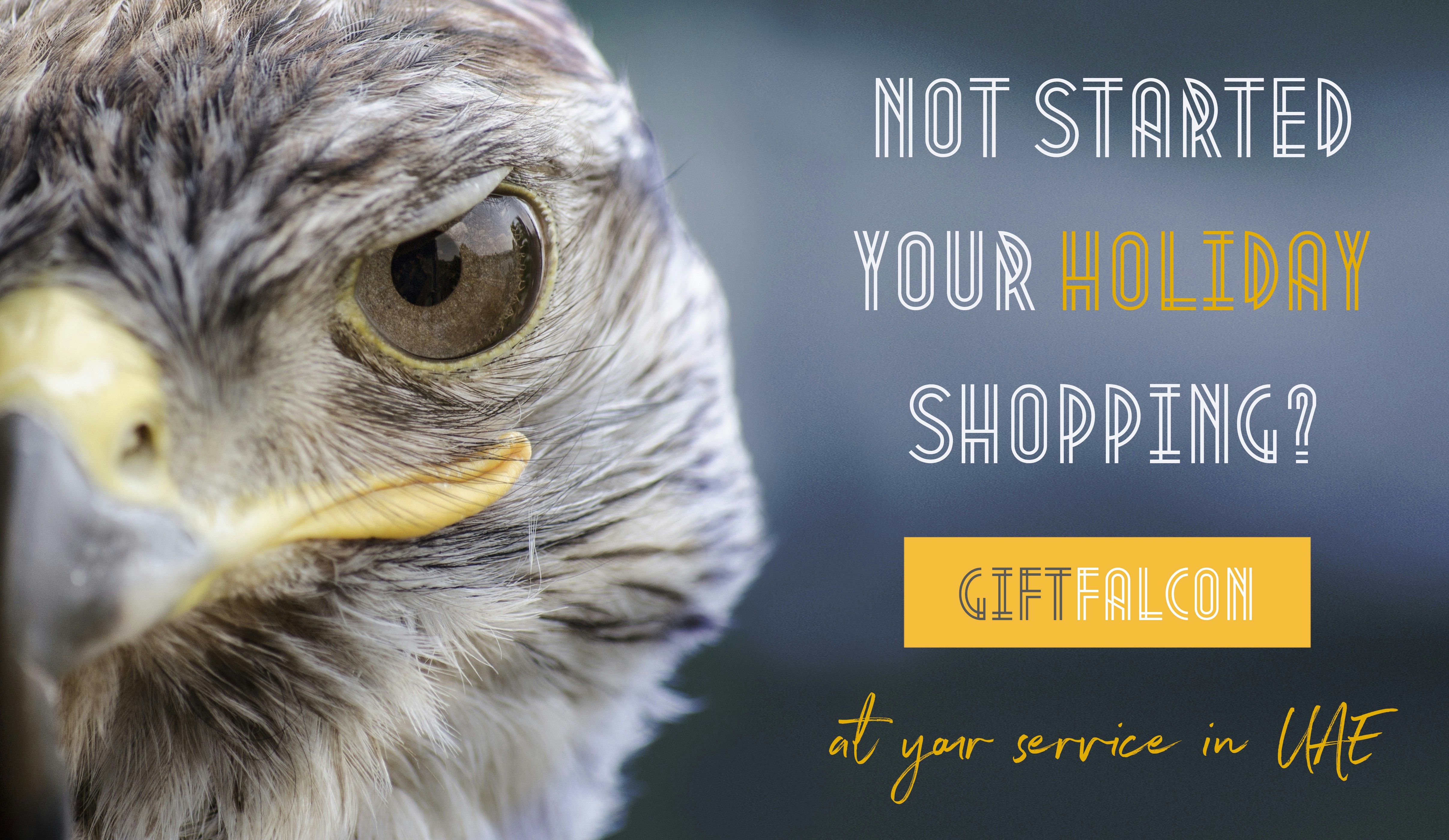 Gift Falcon gallery image