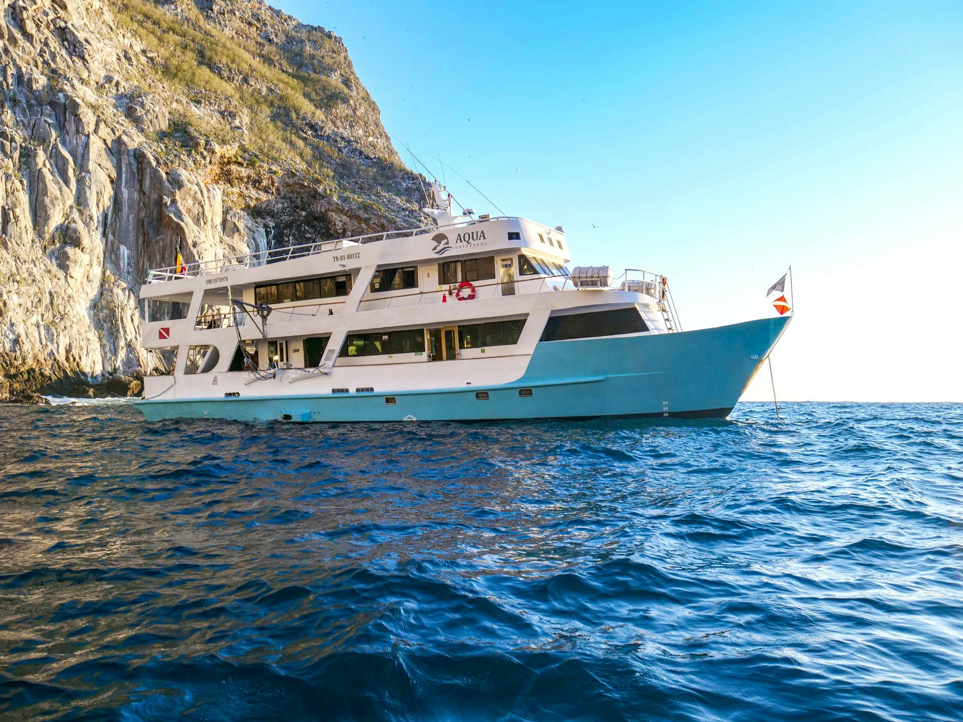 Pelagic Dive Travel gallery image