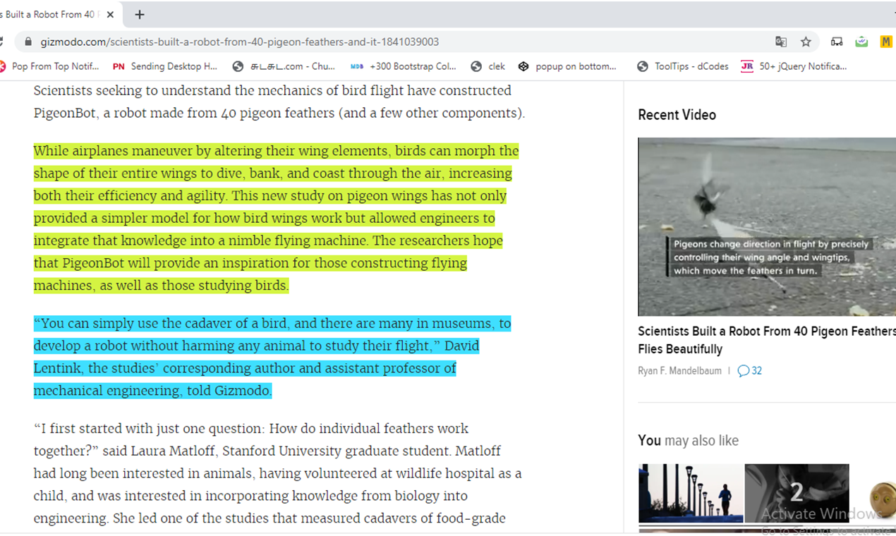 LightUpTheWeb gallery image