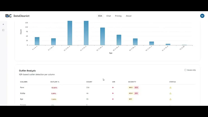 DataCleanist screenshot 1 (video preview)