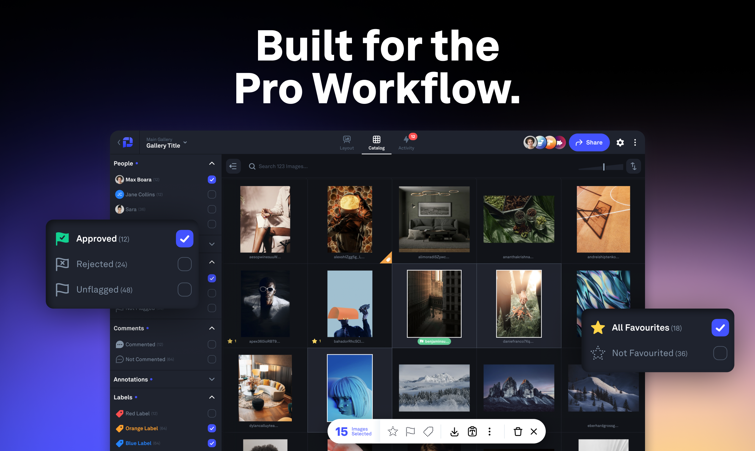 Picflow media 4