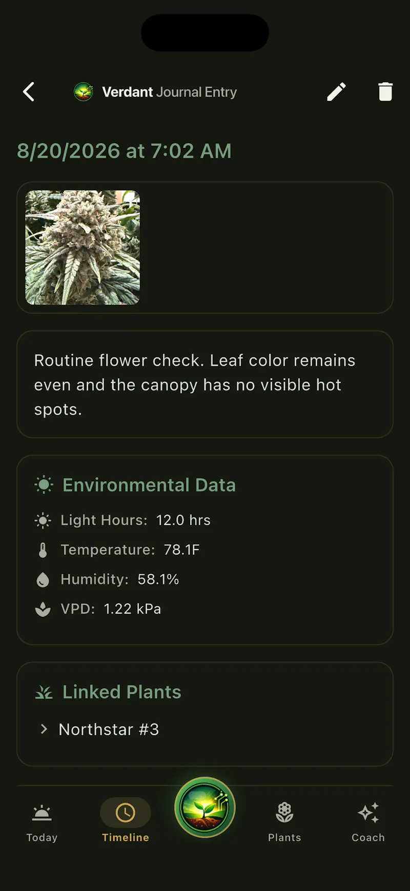 Verdant screenshot 4