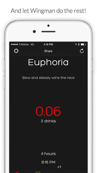 Wingman gallery image