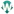 Wedgetail