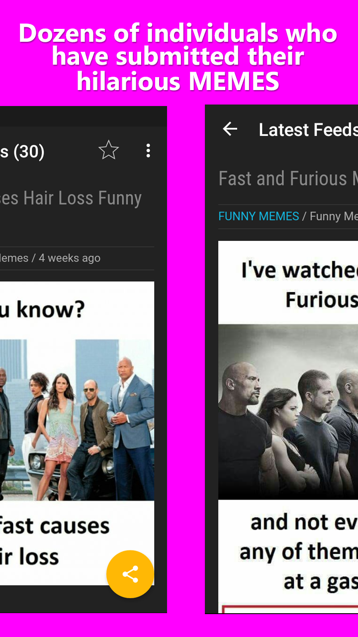 Funny Memes gallery image