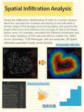 AI-Pathology gallery image