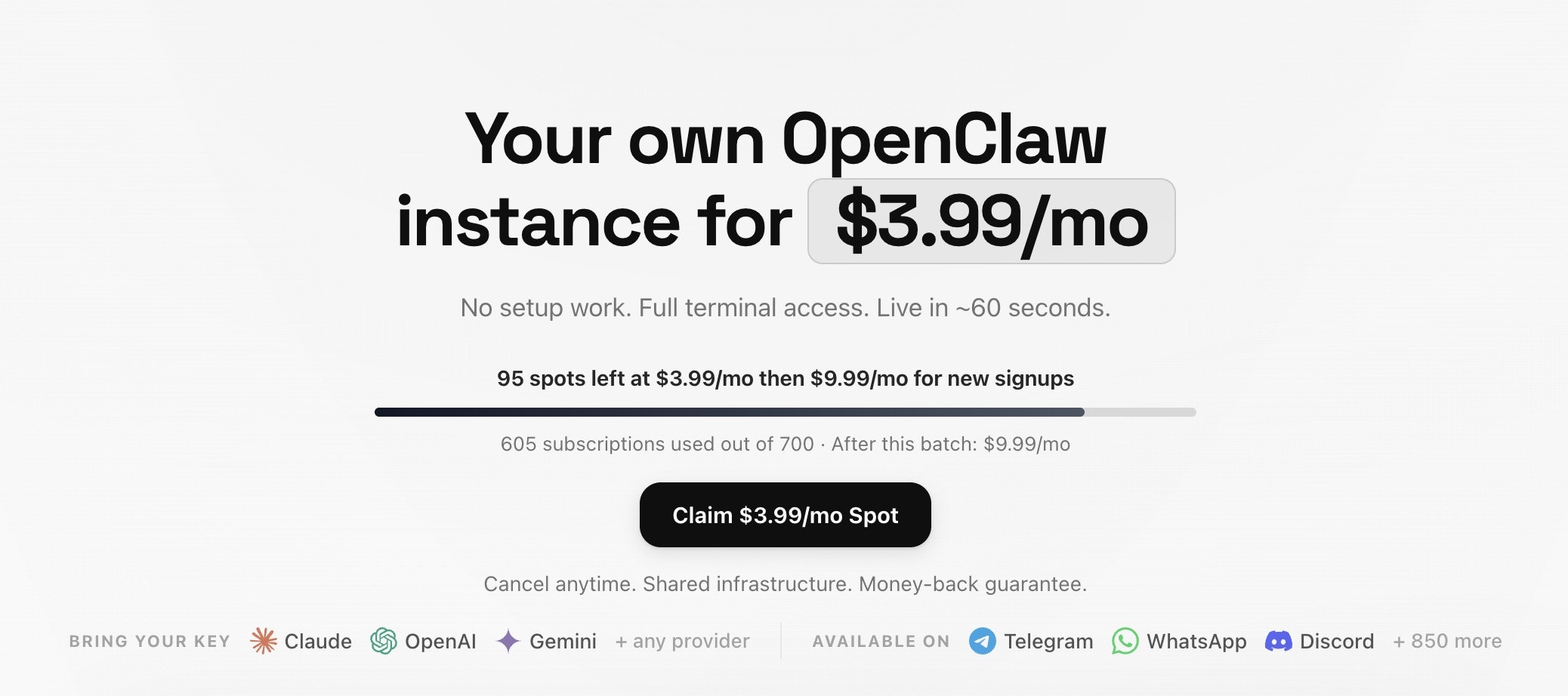 Agent 37 gallery image