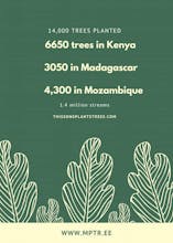 This Song Plants Trees - Focus edition gallery image