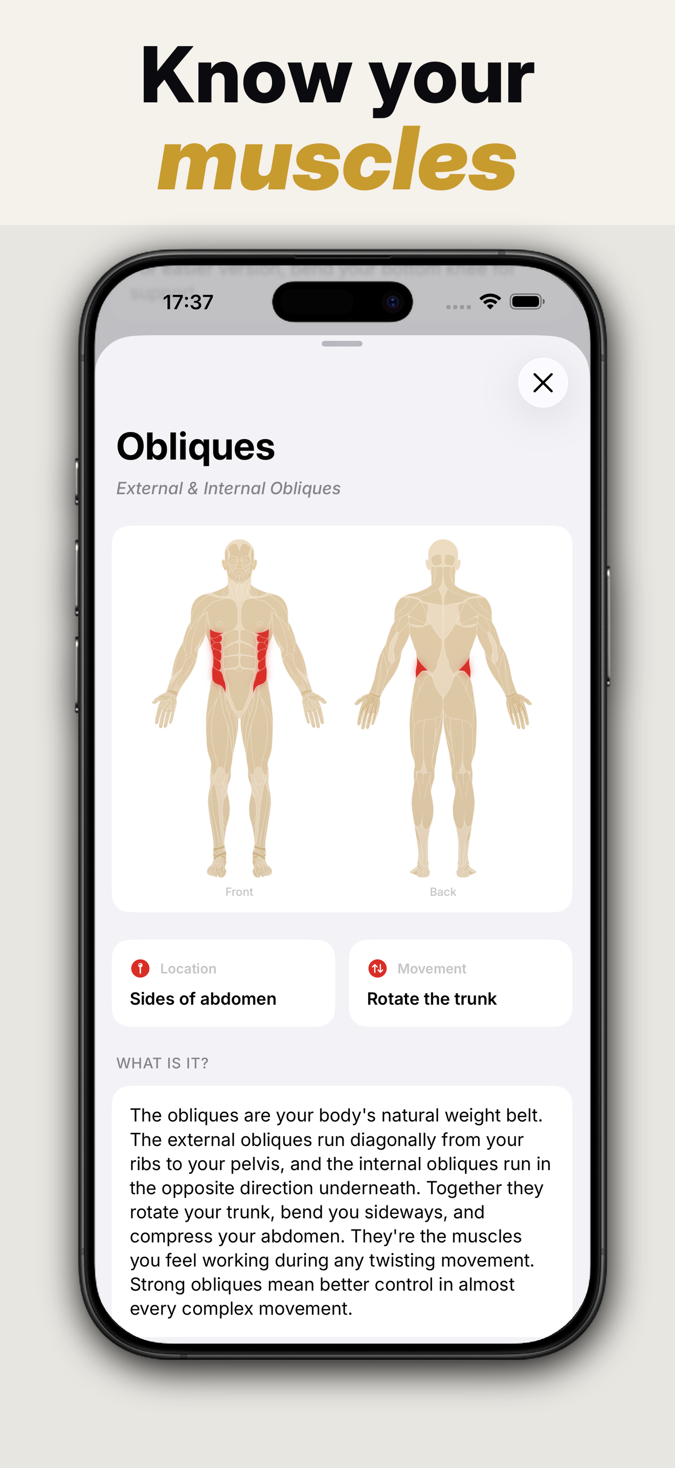 Caliscool gallery image