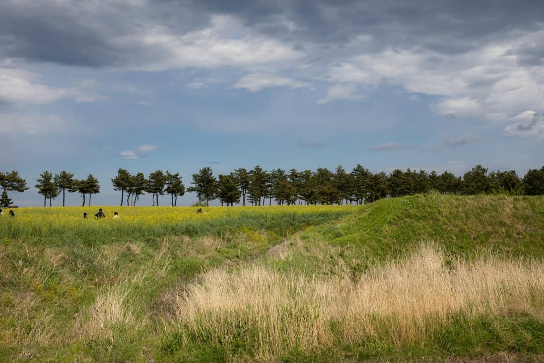 Africantrust Safari gallery image
