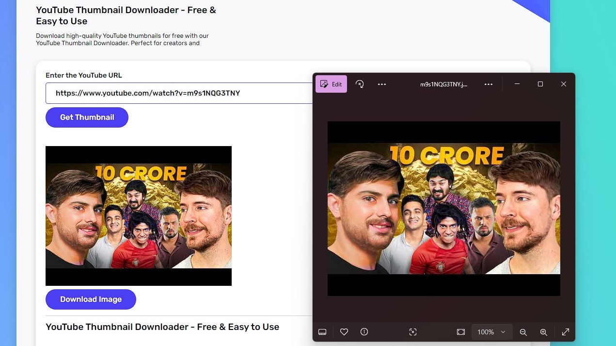 YouTube Thumbnail Downloader media 3