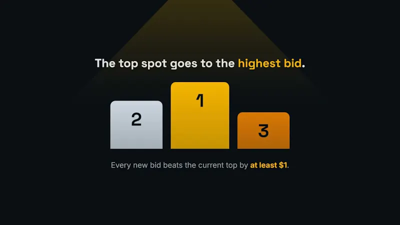 Bid Spotlight screenshot 1 (video preview)