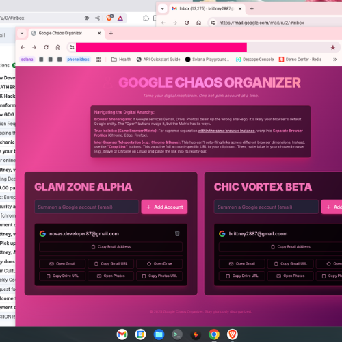 Google Chaos Organizatörü - Dijital Maelstrom'u evcilleştirin. medya 2