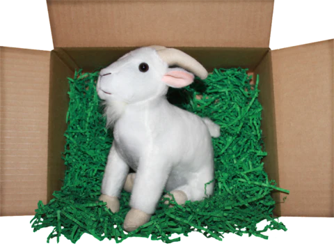 You Goat Mail