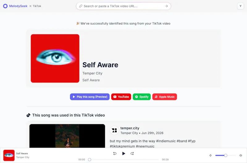 MelodySeek screenshot 2