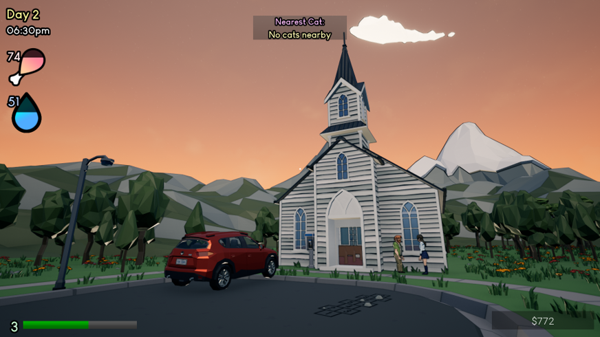 This & Cats gallery image