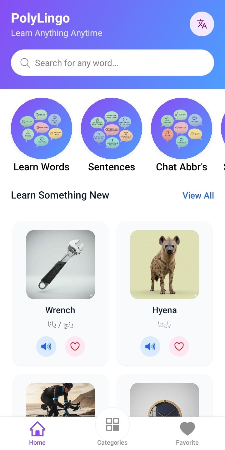 PolyLingo gallery image