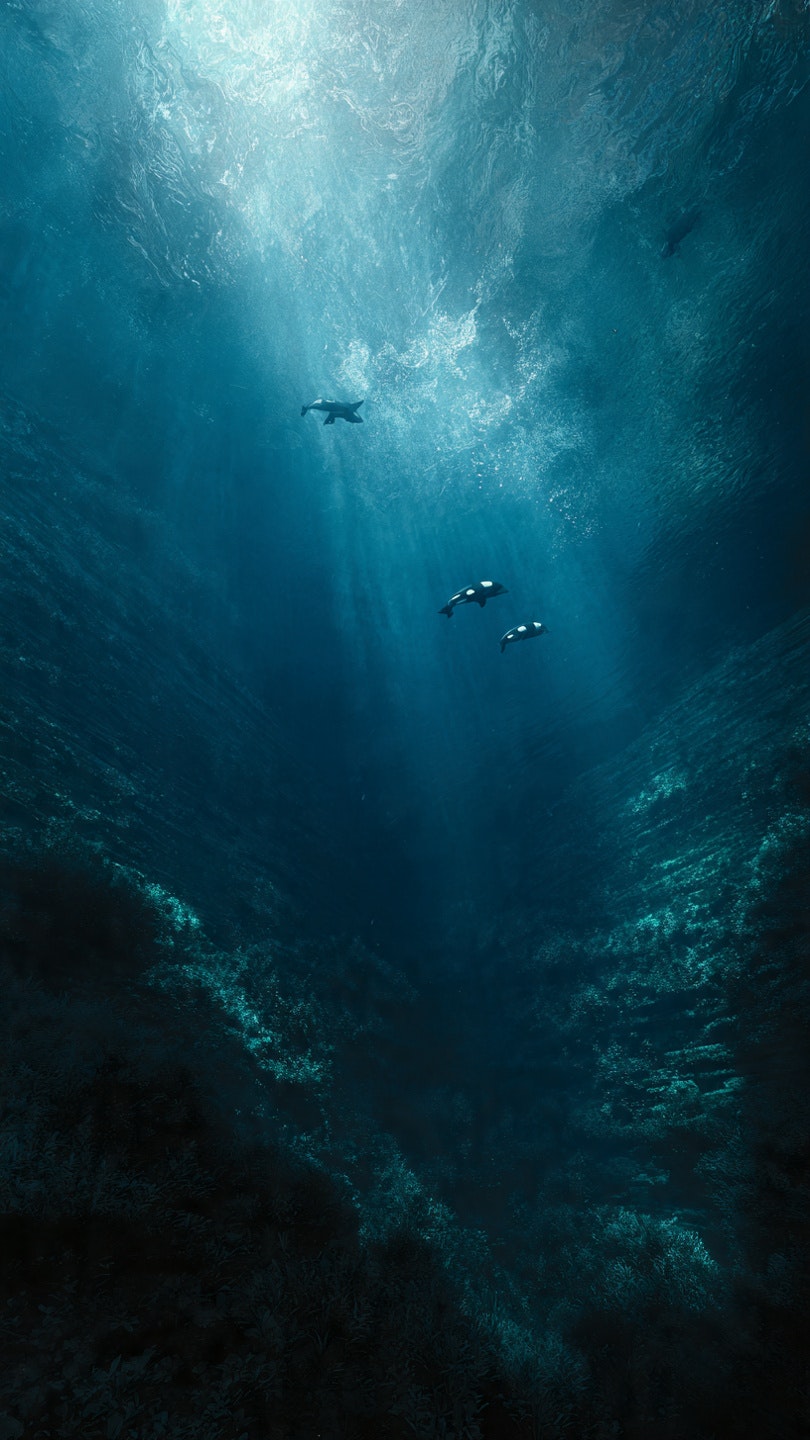 Nanobanana Pro Lens library gallery image