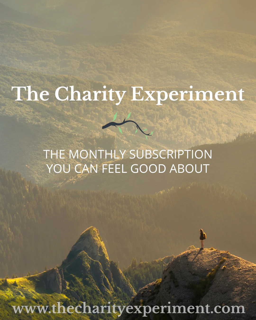 The Charity Experiment