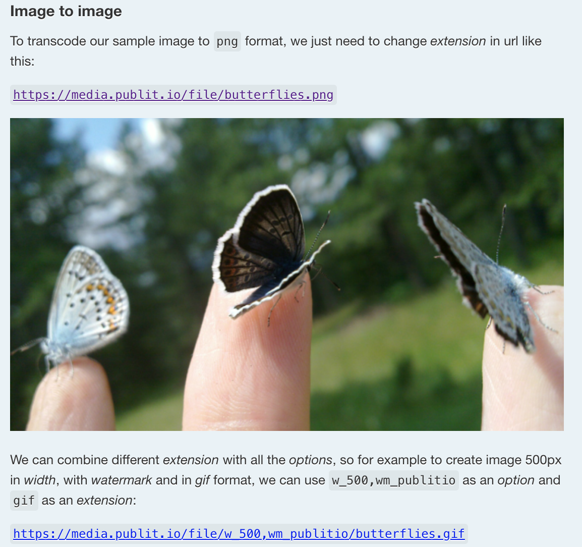 Publitio gallery image