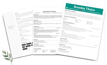 My STEM Resume gallery image