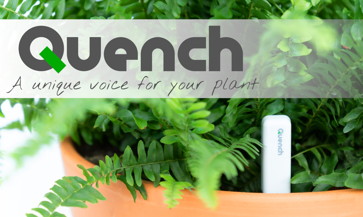 Quench - A unique voice for your plant gallery image