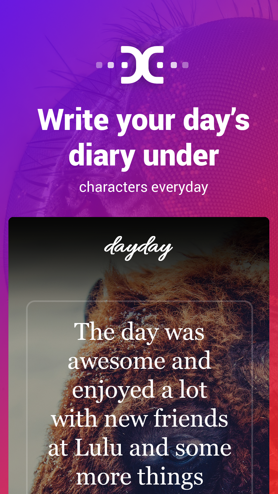 Dayday gallery image