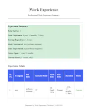 Online Work Experience Calculator gallery image