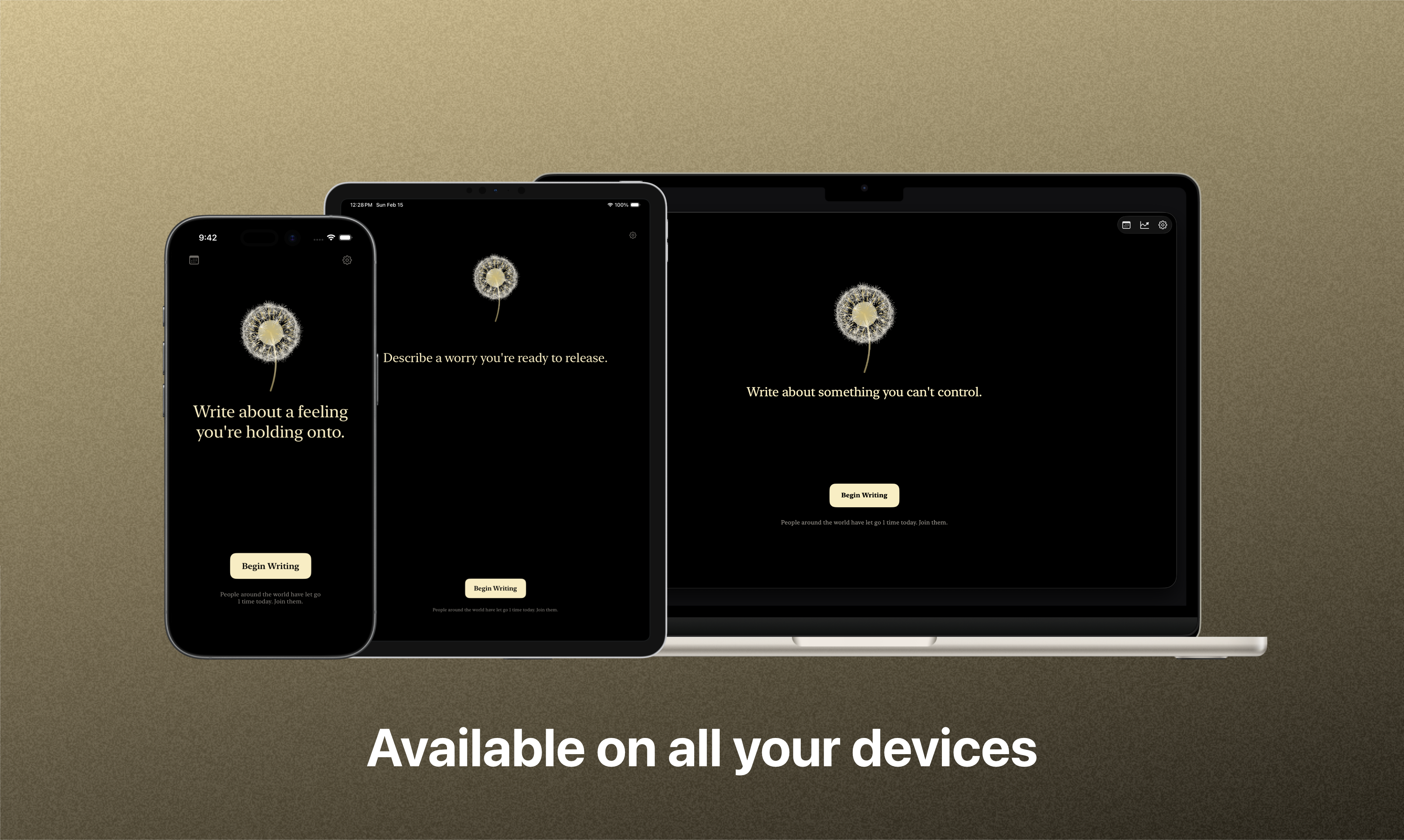 Dandelion – Write and Let Go - Screenshot 5 showing product features and functionality