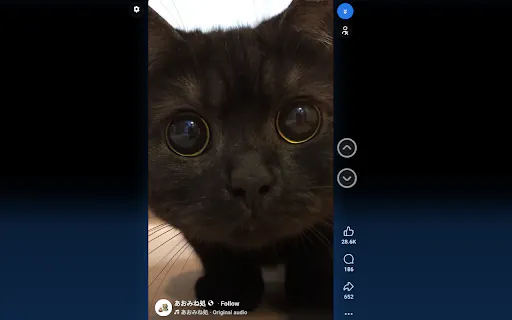 Facebook Reels Controls gallery image