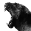 Panther