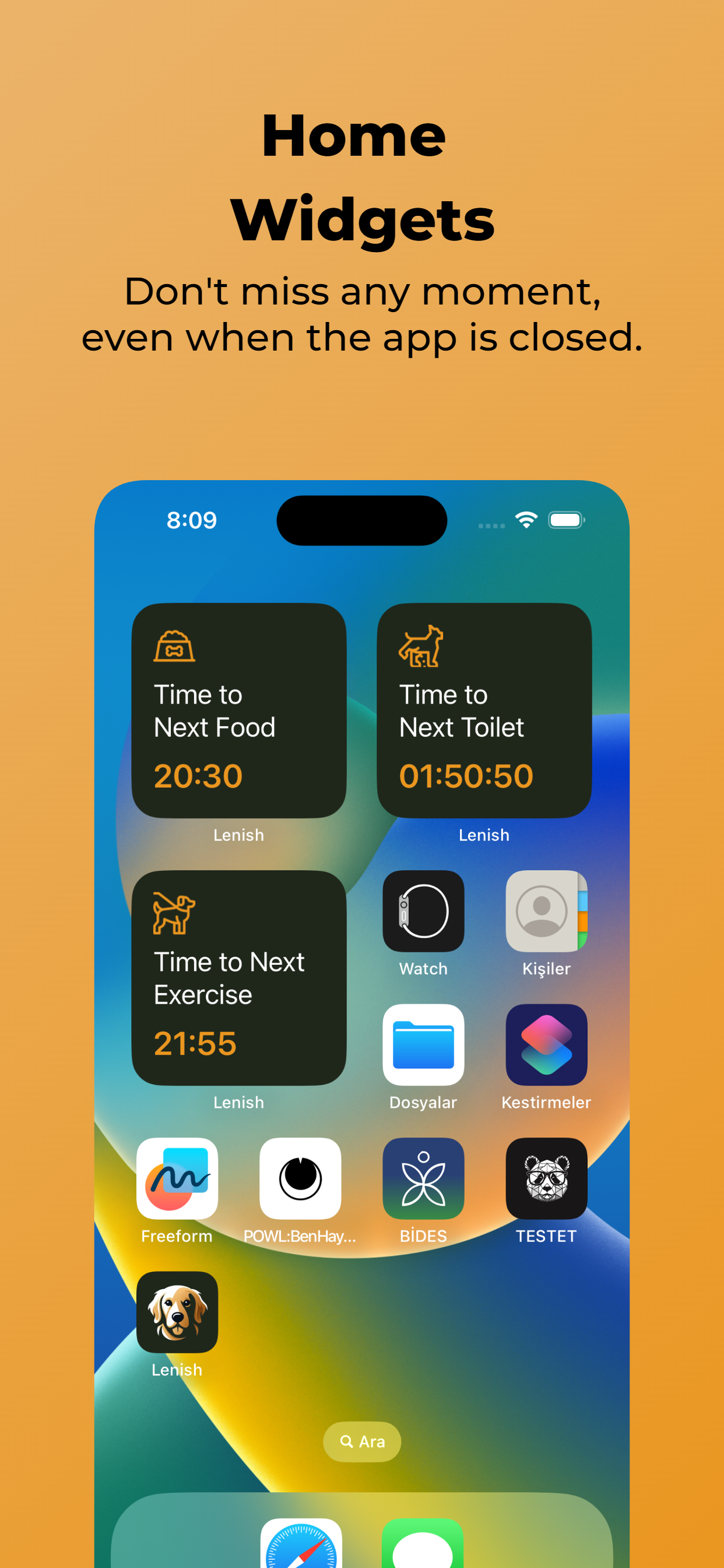 Dueno media 11