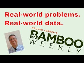Bamboo Weekly gallery image