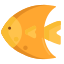 Fischschilds (Beta)