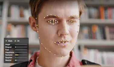 VidINsight gallery image