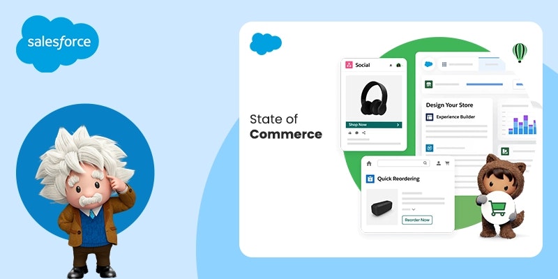 Zenesys E -Commerce -Lösung - End-to-End-E-Commerce-Dienstleister Medien 6