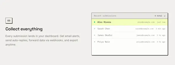 Form Dump 畫廊圖片