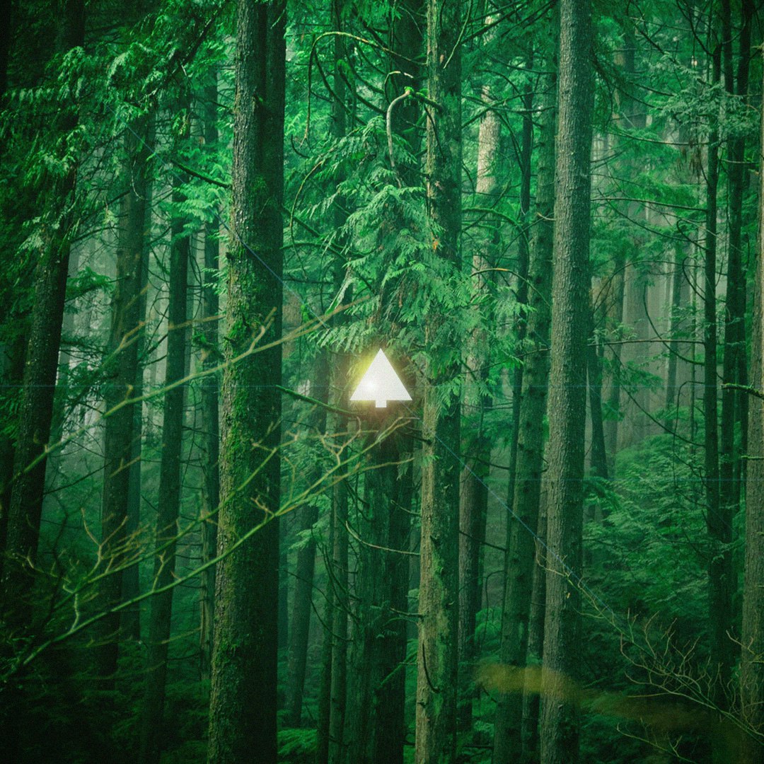 Treets gallery image