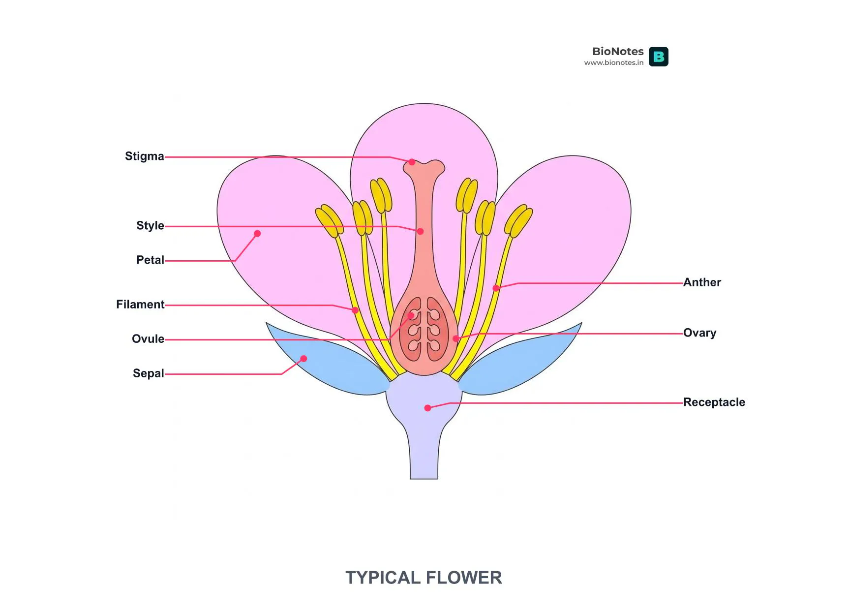 BioNotes gallery image