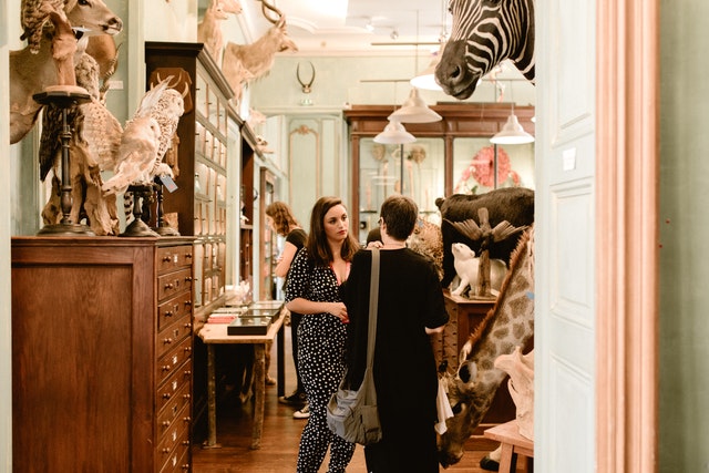 New York Times Day Tours by Urban Adventures gallery image