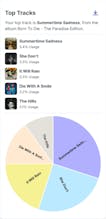 Spotify Pie Chart gallery image