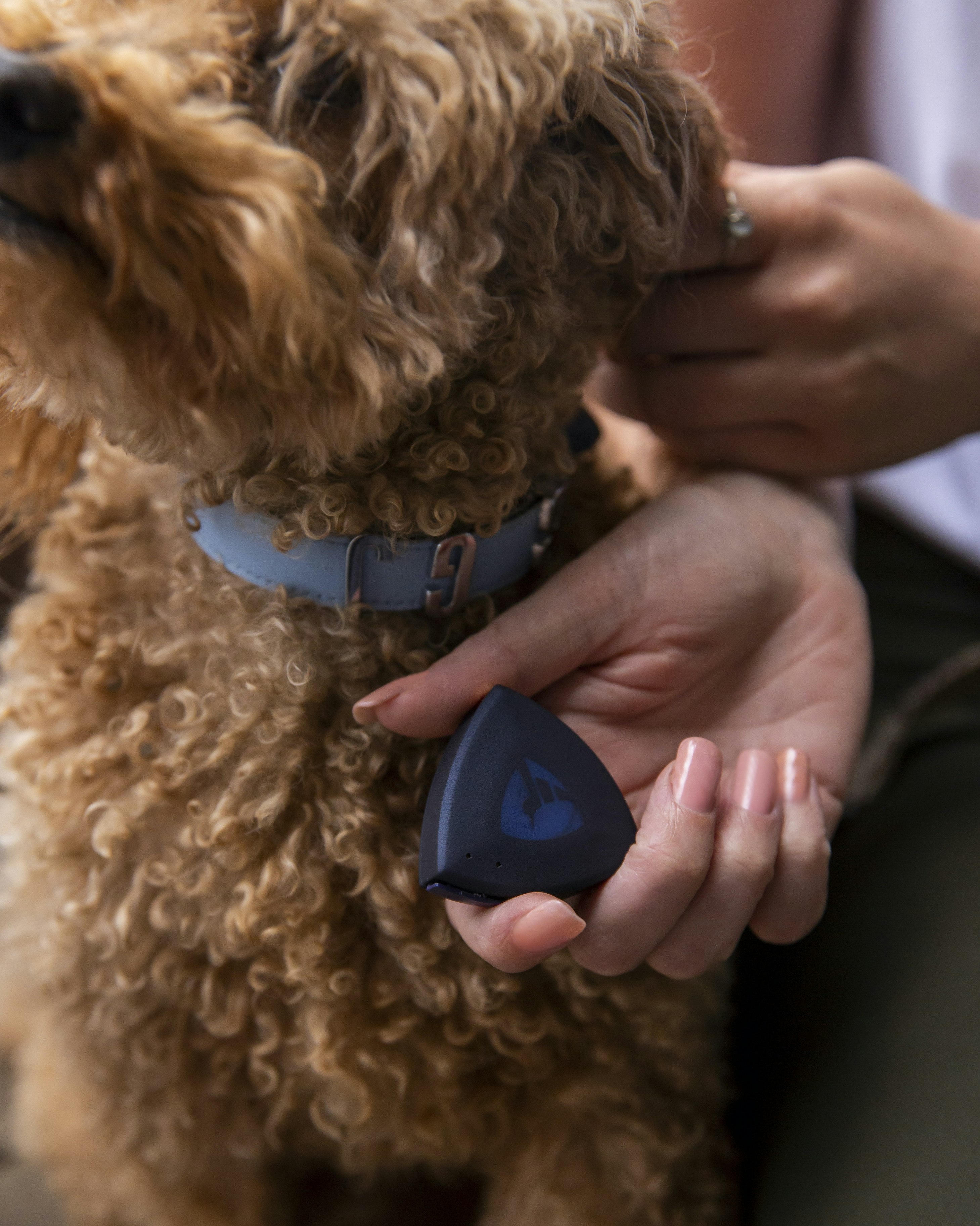 AirBolt® GPS gallery image