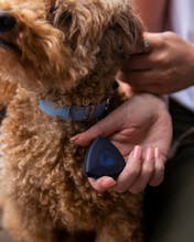 AirBolt® GPS gallery image