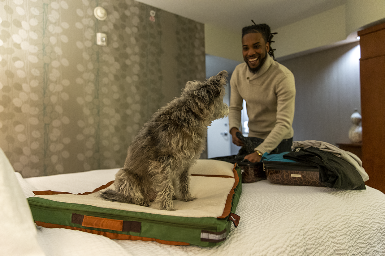 Ruffrest® Ultimate Dog Yatak - James Bond ve Müfettiş Gadget bir köpek yatağı yapsaydı medya 8