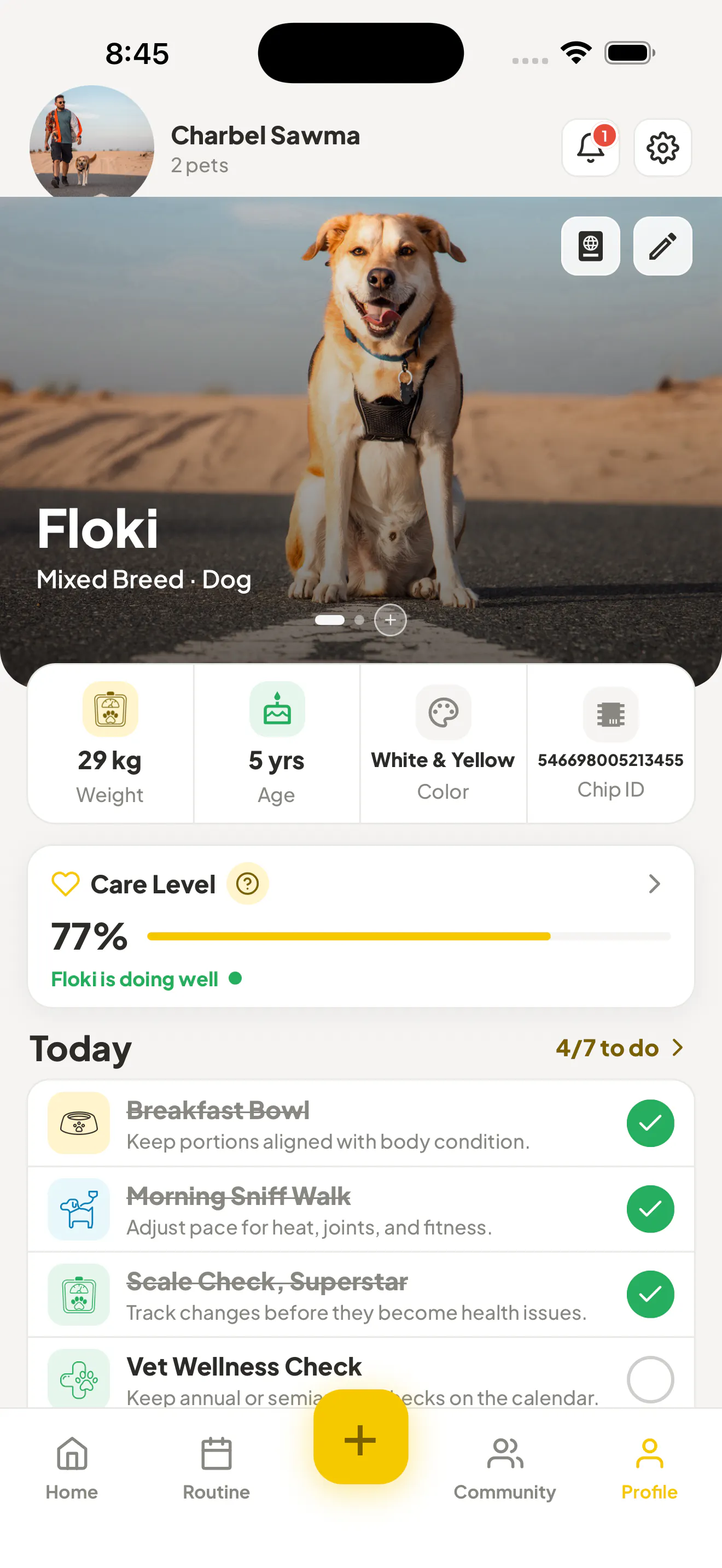 PetsGo gallery image
