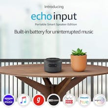 Portable Echo Input gallery image
