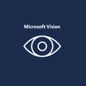 Microsoft Vision Model